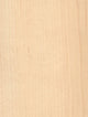 Maple Wood